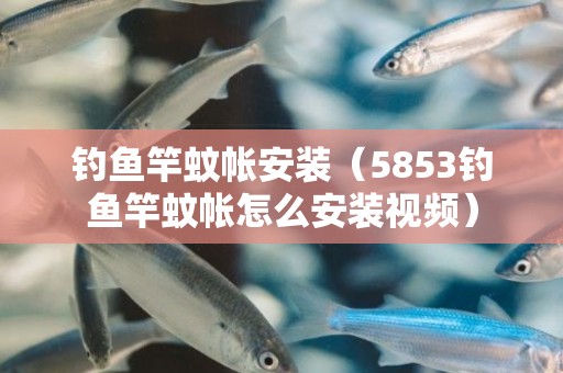 钓鱼竿蚊帐安装（5853钓鱼竿蚊帐怎么安装视频）