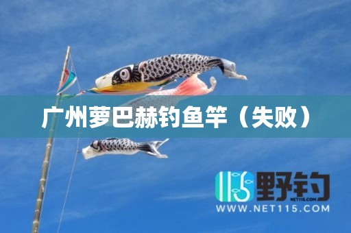 广州萝巴赫钓鱼竿（失败）