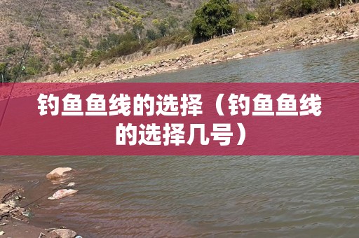 钓鱼鱼线的选择（钓鱼鱼线的选择几号）