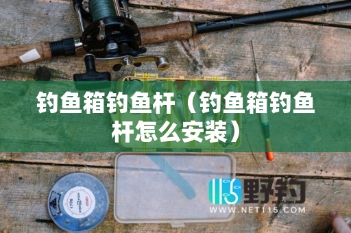 钓鱼箱钓鱼杆（钓鱼箱钓鱼杆怎么安装）