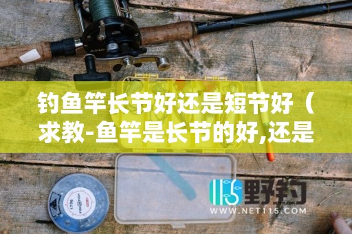 钓鱼竿长节好还是短节好（求教-鱼竿是长节的好,还是短节的好-）