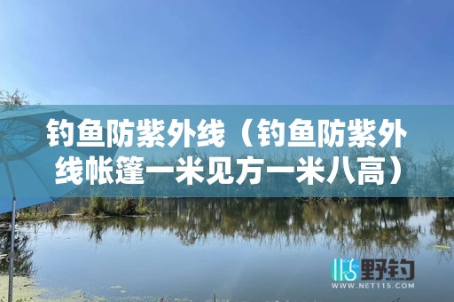 钓鱼防紫外线（钓鱼防紫外线帐篷一米见方一米八高）