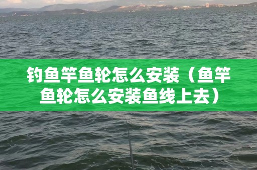 钓鱼竿鱼轮怎么安装（鱼竿鱼轮怎么安装鱼线上去）