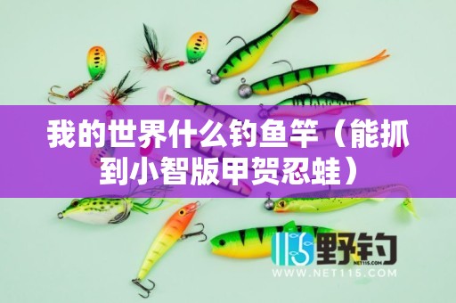 我的世界什么钓鱼竿（能抓到小智版甲贺忍蛙）