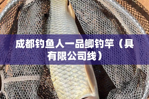 成都钓鱼人一品鲫钓竿（具有限公司线）
