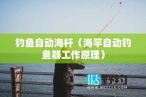 钓鱼自动海杆（海竿自动钓鱼器工作原理）