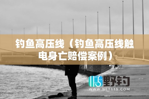 钓鱼高压线（钓鱼高压线触电身亡赔偿案例）