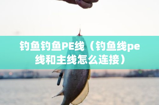 钓鱼钓鱼PE线（钓鱼线pe线和主线怎么连接）