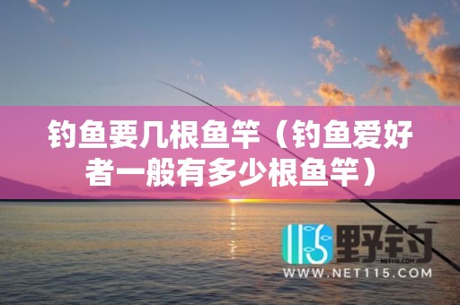 钓鱼要几根鱼竿（钓鱼爱好者一般有多少根鱼竿）