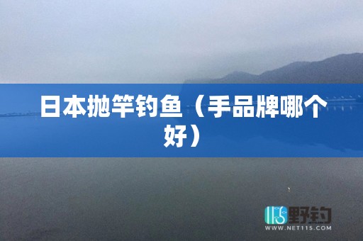 日本抛竿钓鱼（手品牌哪个好）