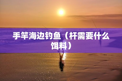 手竿海边钓鱼（杆需要什么饵料）