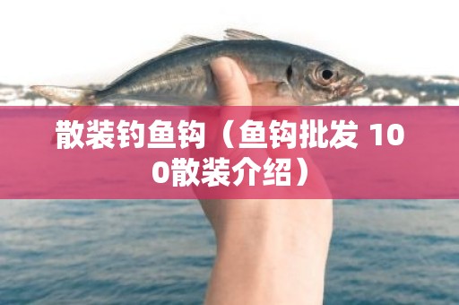 散装钓鱼钩（鱼钩批发 100散装介绍）