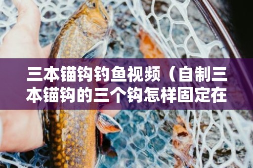 三本锚钩钓鱼视频（自制三本锚钩的三个钩怎样固定在一起）