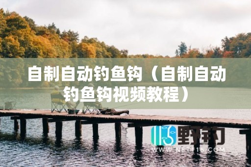 自制自动钓鱼钩（自制自动钓鱼钩视频教程）