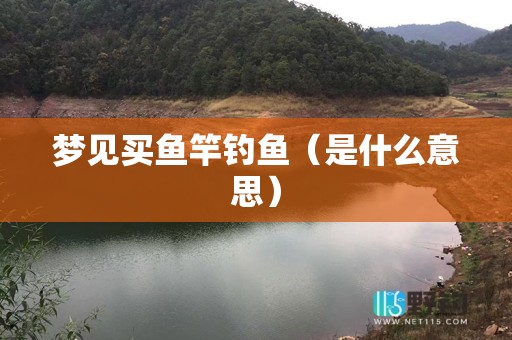 梦见买鱼竿钓鱼（是什么意思）