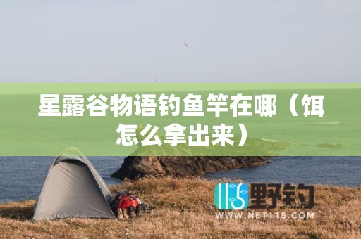 星露谷物语钓鱼竿在哪（饵怎么拿出来）