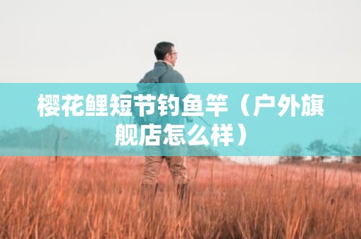 樱花鲤短节钓鱼竿（户外旗舰店怎么样）