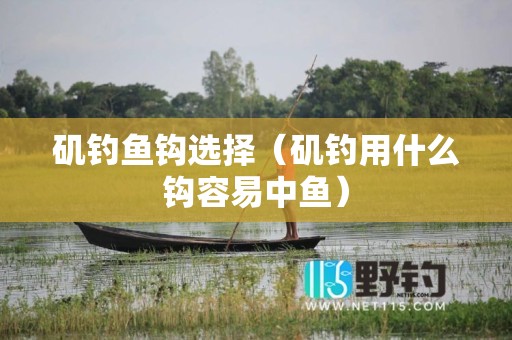 矶钓鱼钩选择（矶钓用什么钩容易中鱼）