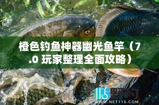 橙色钓鱼神器幽光鱼竿（7.0 玩家整理全面攻略）