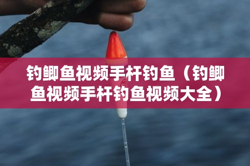 钓鲫鱼视频手杆钓鱼（钓鲫鱼视频手杆钓鱼视频大全）