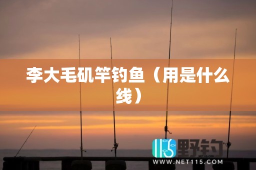 李大毛矶竿钓鱼（用是什么线）