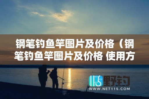 钢笔钓鱼竿图片及价格（钢笔钓鱼竿图片及价格 使用方法）