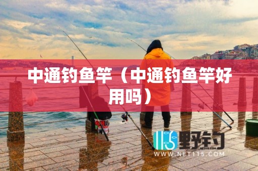 中通钓鱼竿（中通钓鱼竿好用吗）