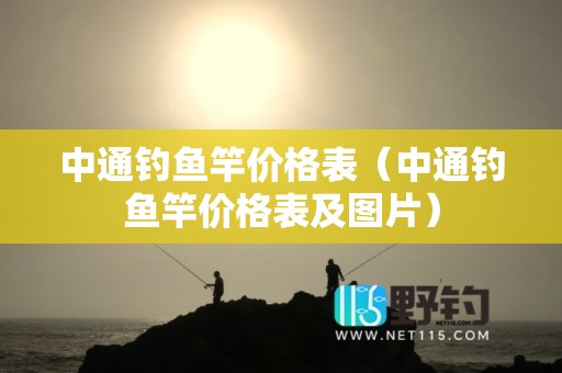中通钓鱼竿价格表（中通钓鱼竿价格表及图片）