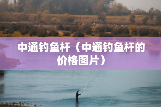 中通钓鱼杆（中通钓鱼杆的价格图片）