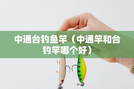 中通台钓鱼竿（中通竿和台钓竿哪个好）