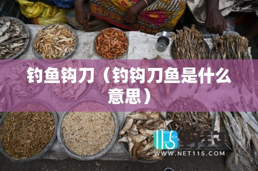 钓鱼钩刀（钓钩刀鱼是什么意思）
