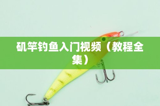 矶竿钓鱼入门视频（教程全集）