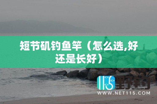 短节矶钓鱼竿（怎么选,好还是长好）