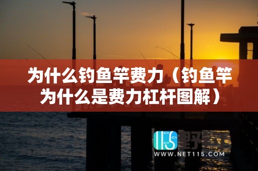 为什么钓鱼竿费力（钓鱼竿为什么是费力杠杆图解）