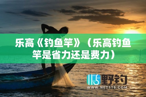 乐高《钓鱼竿》（乐高钓鱼竿是省力还是费力）