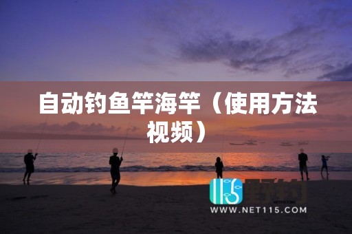 自动钓鱼竿海竿（使用方法视频）