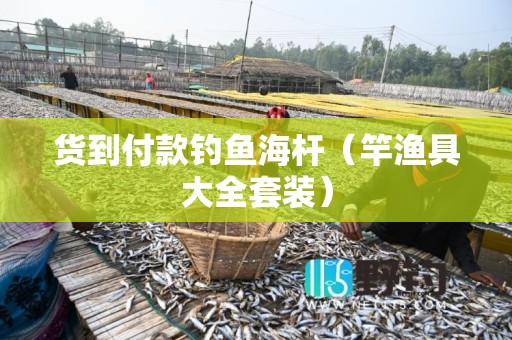 货到付款钓鱼海杆（竿渔具大全套装）