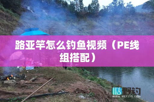路亚竿怎么钓鱼视频（PE线组搭配）