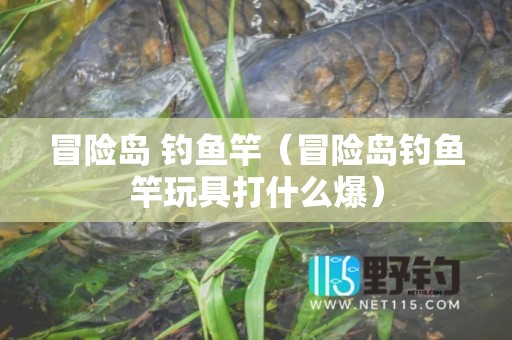 冒险岛 钓鱼竿（冒险岛钓鱼竿玩具打什么爆）