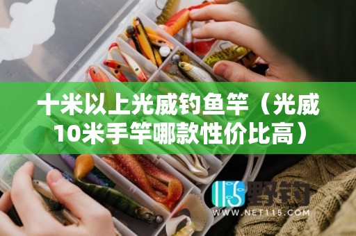 十米以上光威钓鱼竿（光威10米手竿哪款性价比高）