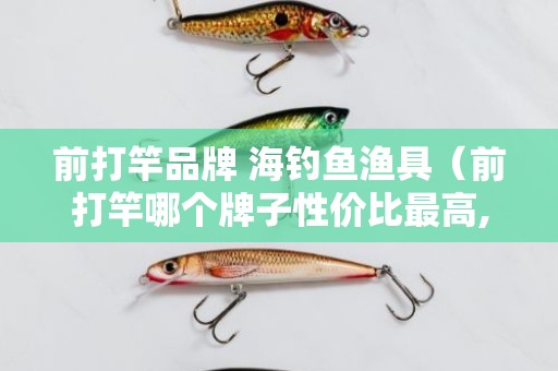 前打竿品牌 海钓鱼渔具（前打竿哪个牌子性价比最高,托别来回答）