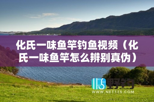 化氏一味鱼竿钓鱼视频（化氏一味鱼竿怎么辨别真伪）