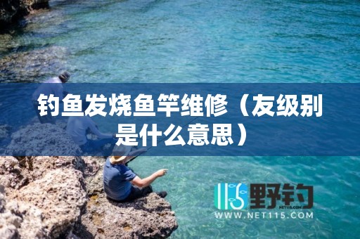 钓鱼发烧鱼竿维修（友级别是什么意思）