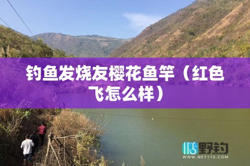 钓鱼发烧友樱花鱼竿（红色飞怎么样）