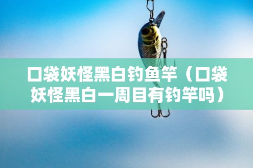 口袋妖怪黑白钓鱼竿（口袋妖怪黑白一周目有钓竿吗）
