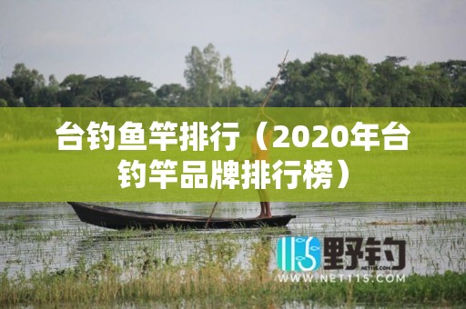 台钓鱼竿排行（2020年台钓竿品牌排行榜）