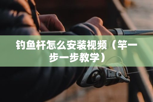 钓鱼杆怎么安装视频（竿一步一步教学）