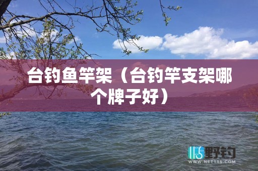 台钓鱼竿架（台钓竿支架哪个牌子好）