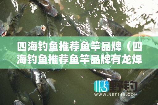四海钓鱼推荐鱼竿品牌（四海钓鱼推荐鱼竿品牌有龙焊吗）