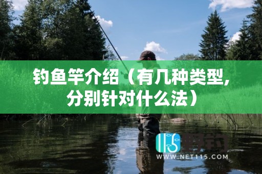 钓鱼竿介绍（有几种类型,分别针对什么法）